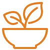 Salade